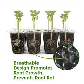 Θήκη φύτευσης σπορόφυτων – πλαστική, αναπνεύσιμη, διάφανη για τη μετάδοση του φωτός, ανθεκτική και εξοικονομεί νερό, με 6 ή 12 οπές, σετ τριών τεμαχίων