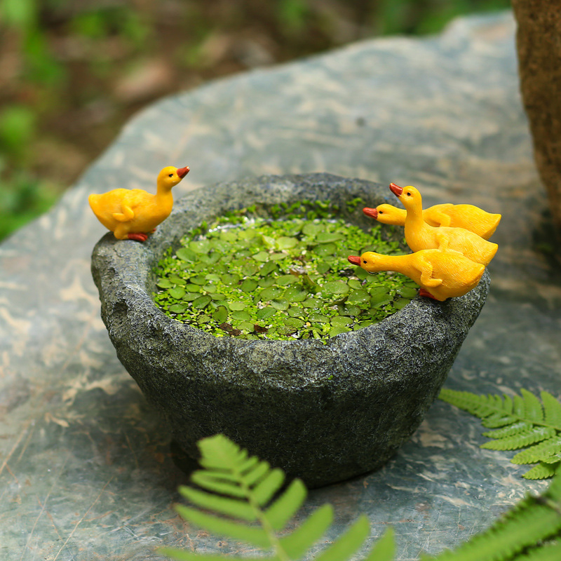 Υδροπονικό φυτό Pennywort σε γλάστρα από ρητίνη με πέτρινη βάση και γλυκιά λευκή πάπια διακοσμητικό για κήπο και τραπεζάκι τσαγιού