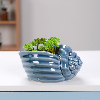 Κεραμική γλάστρα για παχύφυτα με δίσκο σε σχήμα κοχυλιού, χειροποίητη, με επίστρωση γλάσου, διακοσμητικό επιτραπέζιο