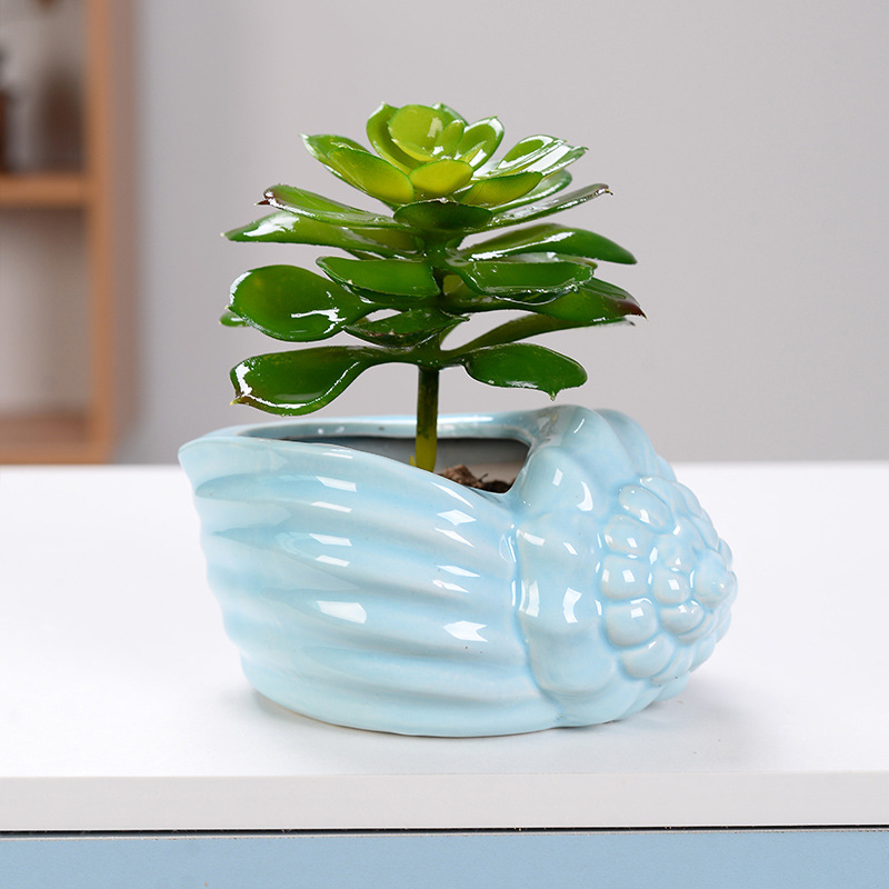 Ghiveci ceramic pentru suculente cu farfurioară în formă de scoică, lucrat manual, glazură, decor de birou