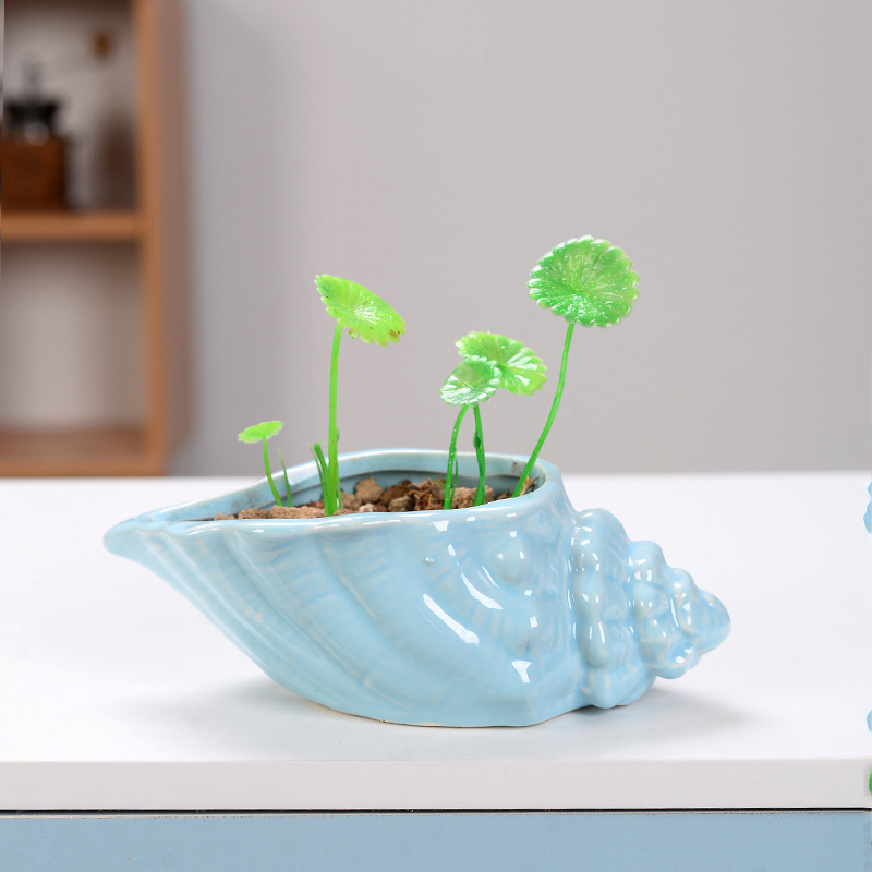 Ghiveci ceramic pentru suculente cu farfurioară în formă de scoică, lucrat manual, glazură, decor de birou