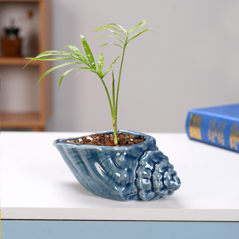 Ghiveci ceramic pentru suculente cu farfurioară în formă de scoică, lucrat manual, glazură, decor de birou