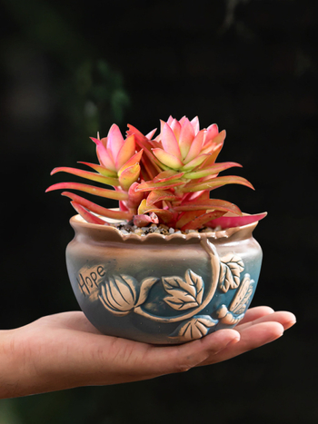 Κεραμική γλάστρα για παχύφυτα, διαπνέουσα, ανθεκτική στη διάβρωση, μη παραμορφώσιμη, χειροποίητη· κατάλληλη για γραφείο ή επιφάνειες και για δάπεδο; κατάλληλη για γραφείο, σπίτι και μπαλκόνι.