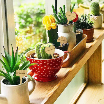 10 бр дървени етикети за растения (Boxwood) – модерен минималистичен стил за градина