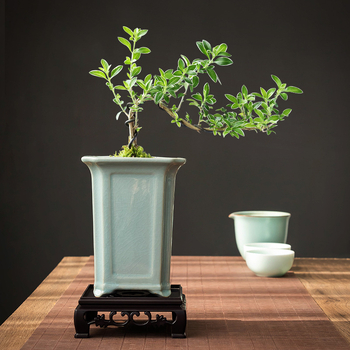 Κεραμική γλάστρα για επιτραπέζια χρήση, κλασικό στυλ, ημιχειροποίητη κατασκευή, ανθεκτική στη διάβρωση