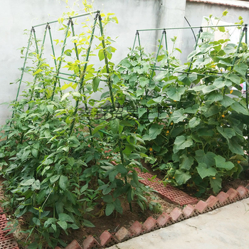 Στήριγμα λουλουδιών για αναρριχητικά φυτά, στηριγμένο στο δάπεδο, μινιμαλιστικό στυλ, οικιακή κηπουρική, μάρκα Xinyi trading
