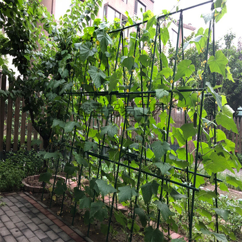 Στήριγμα λουλουδιών για αναρριχητικά φυτά, στηριγμένο στο δάπεδο, μινιμαλιστικό στυλ, οικιακή κηπουρική, μάρκα Xinyi trading