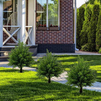 Kaijin Crafts Πλαστικό Προσομοιωμένο Πράσινο Φυτό σε Γλάστρα – Διακόσμηση Κήπου, Αξεσουάρ Φωτογράφισης, 40361610006