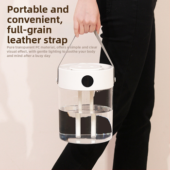 USB maitinamas drėkintuvas, dvi purškimo angos, 2,6–4,0 L talpa, tinka patalpoms iki 10 m², modelis T20