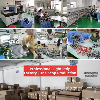 Monochrominė USB 5V LED juosta su 2835 LED, 60 LED, spindulio kampas 120°, vandeniui atspari