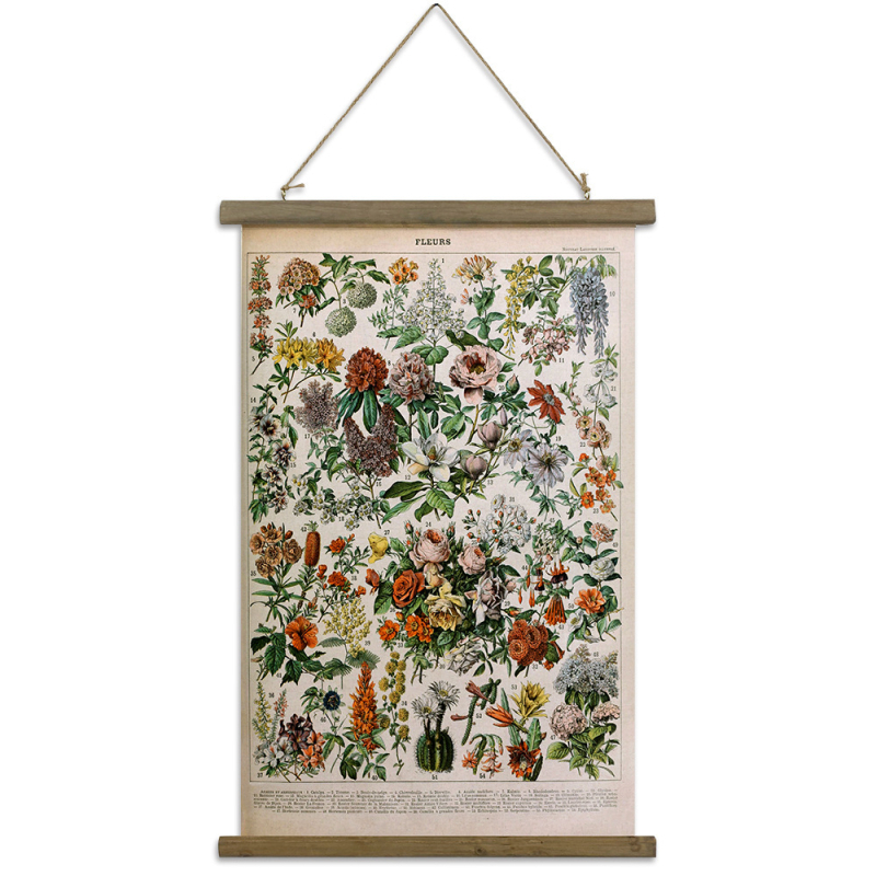 Декоративно стеново окачване – американски стил ретро растителна илюстрация, монтаж тип свитък, рамка от твърдо дърво, платно като основа, две панели, модерна декоративна картина за всекидневна/спалня/офис