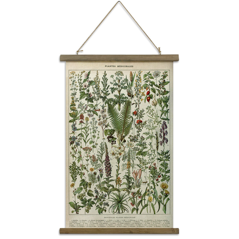 Декоративно стеново окачване – американски стил ретро растителна илюстрация, монтаж тип свитък, рамка от твърдо дърво, платно като основа, две панели, модерна декоративна картина за всекидневна/спалня/офис