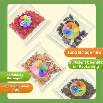 DIY Augimo stebėjimo rinkinys augalams - Plastmasinis, Daugiafunkcinis, Nėra Elektros, 4–6 metų vaikams