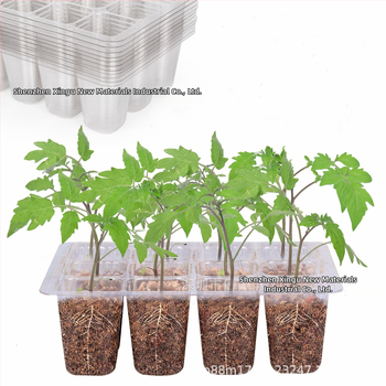 Πλαστική θήκη σπορείων με 6/12 οπές, διαπερατή και διαφανής, για καλλιέργεια σε θερμοκήπιο