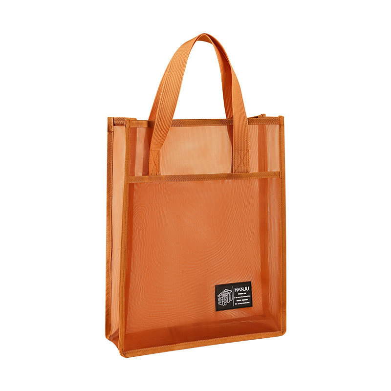 Caurspīdīga neilona režģa dokumentu soma skolēniem, modelis HJ-888, zīmols Korean Set, iepakojums viens