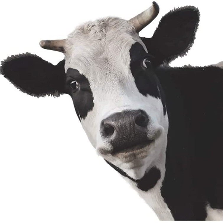Autocolant de perete cu animale: girafă și vacă, PVC, impermeabil, decorativ, 1 bucată, cu model drăguț de animale, potrivit pentru living, dormitor, birou