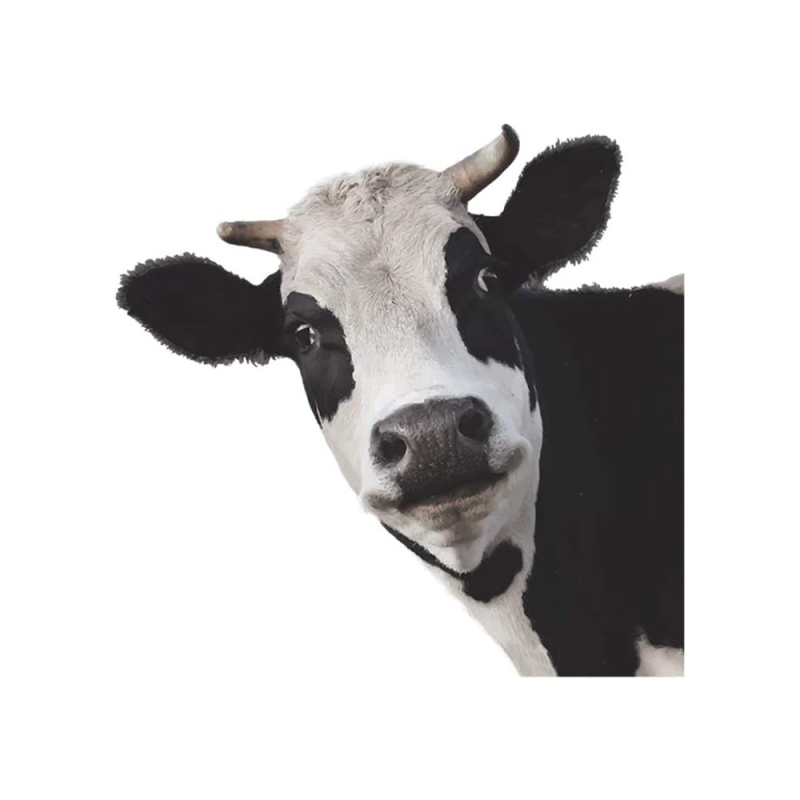 Autocolant de perete cu animale: girafă și vacă, PVC, impermeabil, decorativ, 1 bucată, cu model drăguț de animale, potrivit pentru living, dormitor, birou