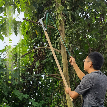 Ножици за подрязване на клони с телескопична дръжка за високи клонове и беритба на плодове