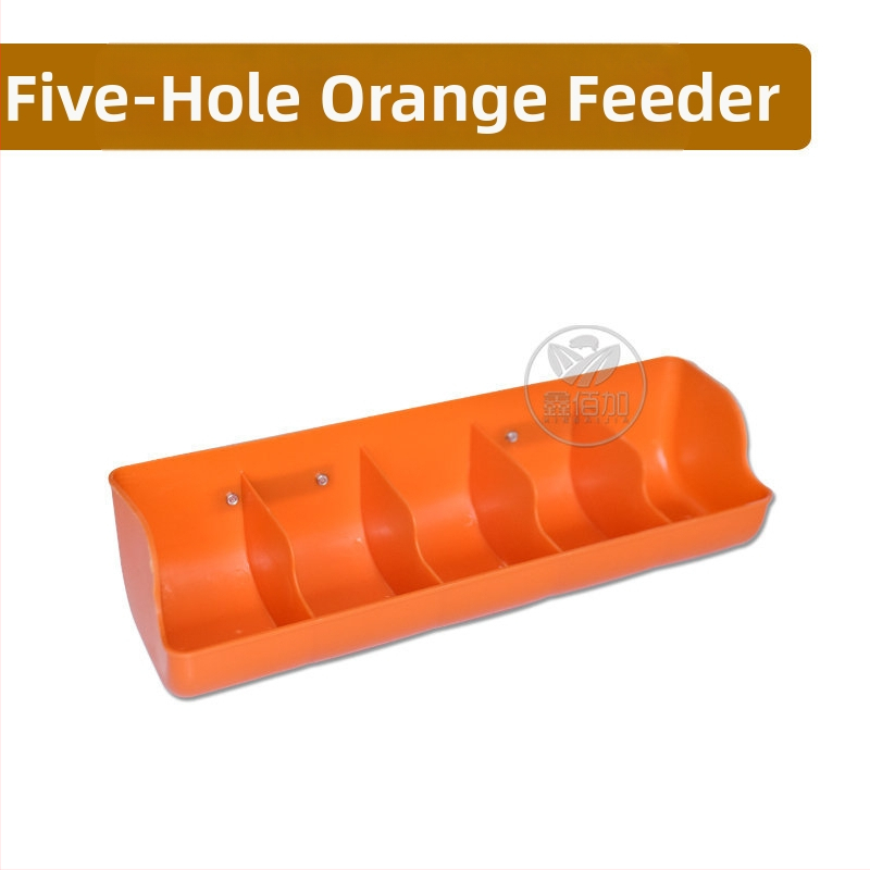 Πλαστική ταϊστρα για γουρουνάκια με πολλαπτές οπές, παχύτερης κατασκευής