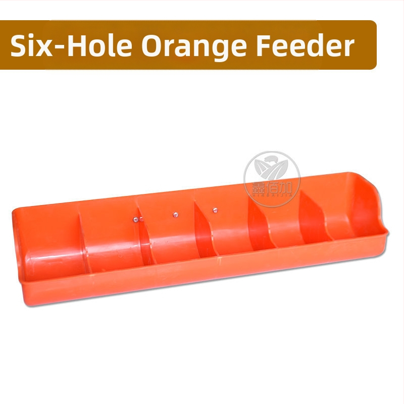 Πλαστική ταϊστρα για γουρουνάκια με πολλαπτές οπές, παχύτερης κατασκευής