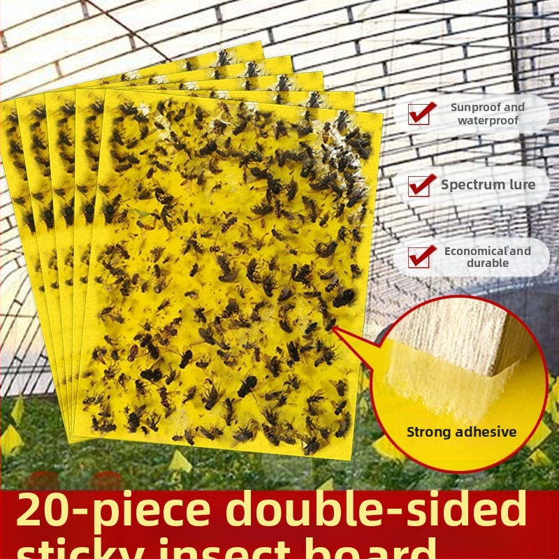 Лепяща дъска за инсекти за плодови мушки и комари – двустранна лепяща повърхност, безвредна, 5-годишен срок на годност, 1000 листа