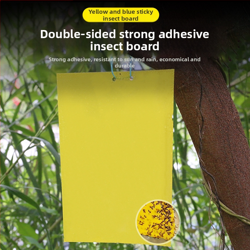 Лепяща дъска за инсекти за плодови мушки и комари – двустранна лепяща повърхност, безвредна, 5-годишен срок на годност, 1000 листа