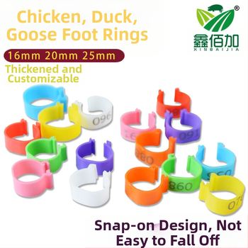 Putnu marķēšanas gredzens ar atvērtu sprādzi – paredzēts vistām, pīlēm un zossēm – Xin Baijia