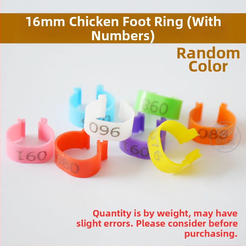 Putnu marķēšanas gredzens ar atvērtu sprādzi – paredzēts vistām, pīlēm un zossēm – Xin Baijia