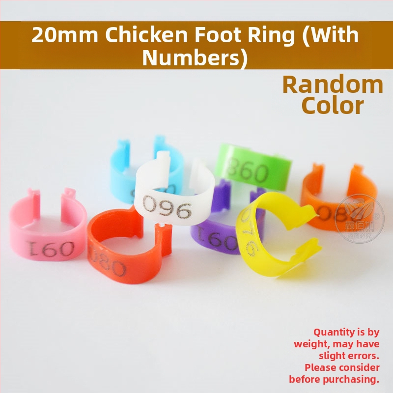 Putnu marķēšanas gredzens ar atvērtu sprādzi – paredzēts vistām, pīlēm un zossēm – Xin Baijia