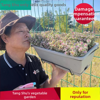 Ορθογώνιο γλαστράκι από ρητίνη, χυτευμένο με έγχυση, ανθεκτικό στη διάβρωση και μακράς διάρκειας, κατάλληλο για τοίχο, γραφείο ή δάπεδο, αγροτικό στυλ