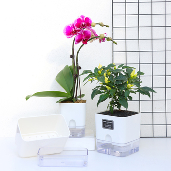 Oulinze Γλάστρα Λουλουδιών – Πλαστική, Διαφανής, Αυτο-Απορροφητικό Νερό, Ανθεκτική στη Διάβρωση, Για Επιτραπέζια ή Πάτωμα