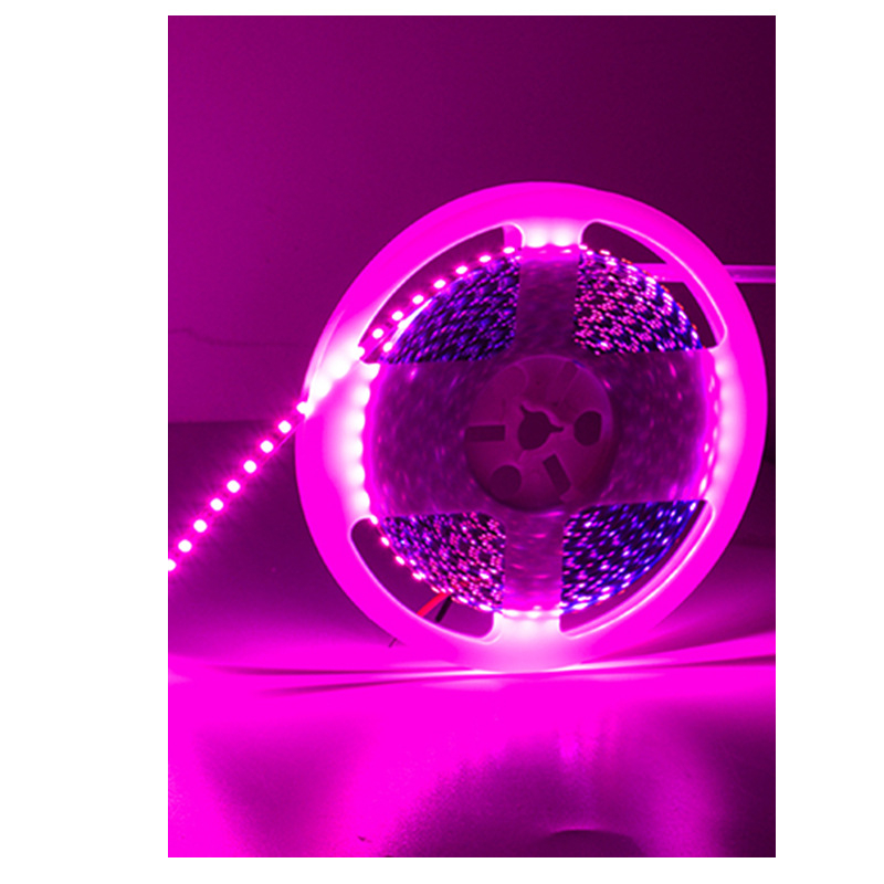 RGB LED лента с 120 диода, чип 2835, вход 12V, 10W/m, 120° ъгъл на лъча