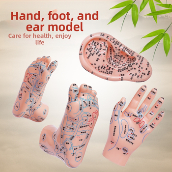 Модел на акупоините за ръце, крака и уши с меридиани – диаграма на рефлексология за обучение, пластмасов материал, комплект от 100 броя