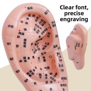 Модел на акупоините за ръце, крака и уши с меридиани – диаграма на рефлексология за обучение, пластмасов материал, комплект от 100 броя