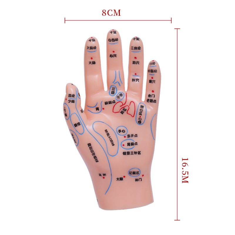 Модел на акупоините за ръце, крака и уши с меридиани – диаграма на рефлексология за обучение, пластмасов материал, комплект от 100 броя