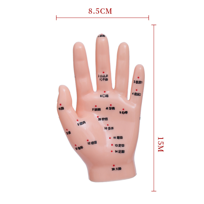 Модел на акупоините за ръце, крака и уши с меридиани – диаграма на рефлексология за обучение, пластмасов материал, комплект от 100 броя