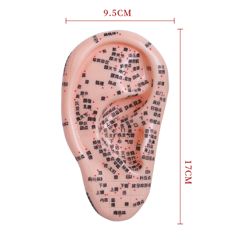 Модел на акупоините за ръце, крака и уши с меридиани – диаграма на рефлексология за обучение, пластмасов материал, комплект от 100 броя