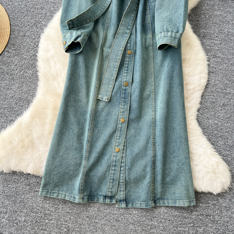 Rochie PVC în stil Artistic Vintage, croială în A, lungime midi, mâneci lungi