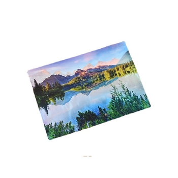 Feirui stalviršio kilimėlis – PP/PET, modelis kaip nuotraukoje, kvadratinė forma, kilmė: Wenzhou