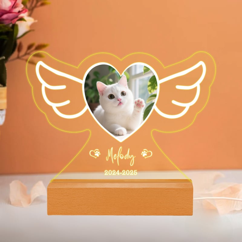 Individualizuota naminių gyvūnėlių akrilo ir medienos naktinė lempa su gyvūno nuotrauka — kūrybinė lempa; Prekės ženklas: Fuwei Friends; Stilius: Kūrybinis; Sertifikatas: EU CE