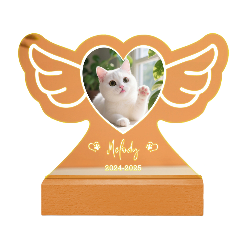 Individualizuota naminių gyvūnėlių akrilo ir medienos naktinė lempa su gyvūno nuotrauka — kūrybinė lempa; Prekės ženklas: Fuwei Friends; Stilius: Kūrybinis; Sertifikatas: EU CE