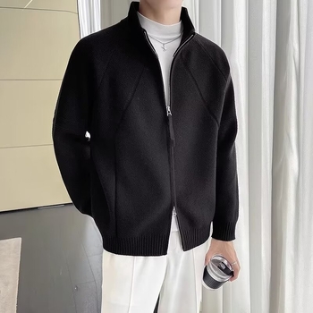 Мъжки кардиган в корейски стил със стояща яка, свободна кройка, дълги ръкави, полиестерна смес, есен 2023