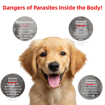 Лекарство за кокцидия за домашни любимци, общо предназначение, марка Happy brown sugar, кутия 132 бр.