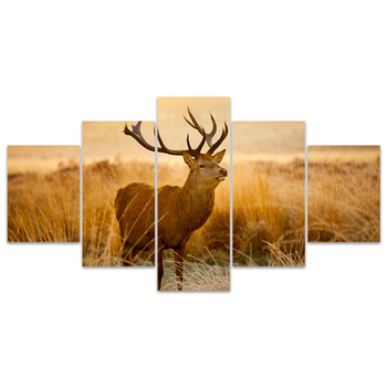 Πεντατμηματικός πίνακας σε καμβά λαδιού – ζωικό μοτίβο, inkjet εκτύπωση, ξύλινο πλαίσιο, χωρίς κορνίζα ή με κορνίζα, διακόσμηση σαλονιού/υπνοδωματίου/γραφείου