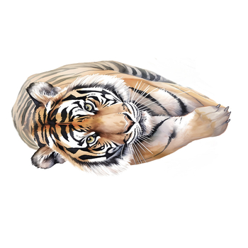 Αυτοκόλλητο τοίχου με τίγρη, αυτοκόλλητο, αδιάβροχο, PVC, για σαλόνι και υπνοδωμάτιο, 1 τεμάχιο, χαριτωμένο ζωικό μοτίβο