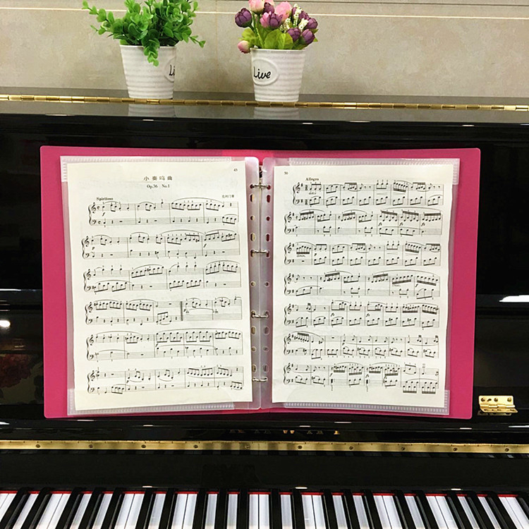 Φάκελος παρτιτούρων, Pisi 3001, πλαστικό, κλιπ πολλαπλών σελίδων (Μάρκα: Pisi; Μοντέλο: 3001; Υλικό: πλαστικό; Τύπος: κλιπ πολλαπλών σελίδων)