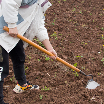 Rankinis kanalo kultivatorius su kriaušės formos galvute, mangano plienas, trikampė smaigalio galvutė
