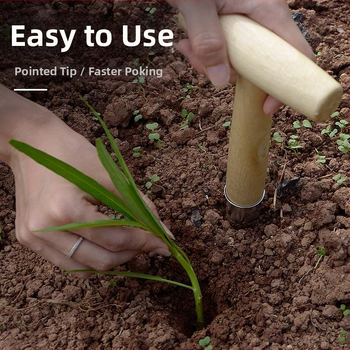 Medinis sodo įrankis sėti sėkloms, daigų tręšimui ir sukulentų persodinimui; smailus antgalis, kietas medis, 2022 metų žiema