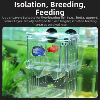 Guppy veisimo dėžė, plastikinė akvariumo izoliacijos dėžė, skirta veisimui ir ikrų dėjimui