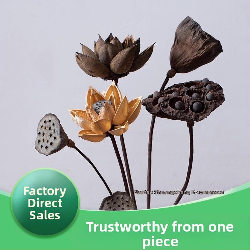 Zen stiliaus džiovintų gėlių puokštė svetainei – mišrios elementai su lotosu, lotus sėklų kapsulėmis ir pušų kankorėžiais (Variety: Lily; Material: Other; Craft: Other; Gift: No)